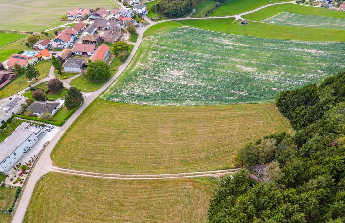 Immobilie in 4910 Innviertler Hügelland: Charmanter Bauernhof mit Potential! Vierseithof Nähe Ried im Innkreis - bild 5