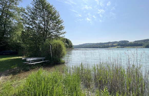 Immobilie in 5221 Salzburg - Mattsee - Lochen am See: DIE Gelegenheit! Seehütte mit Zugang zum Mattsee