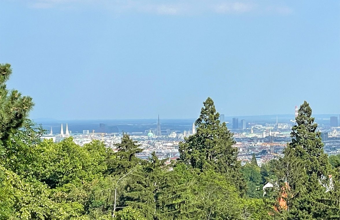 Property in 1170 Wien, 1. Bezirk: Vienna: Top floor flat with ‘WOW effect’ for first occupancy - picture 3